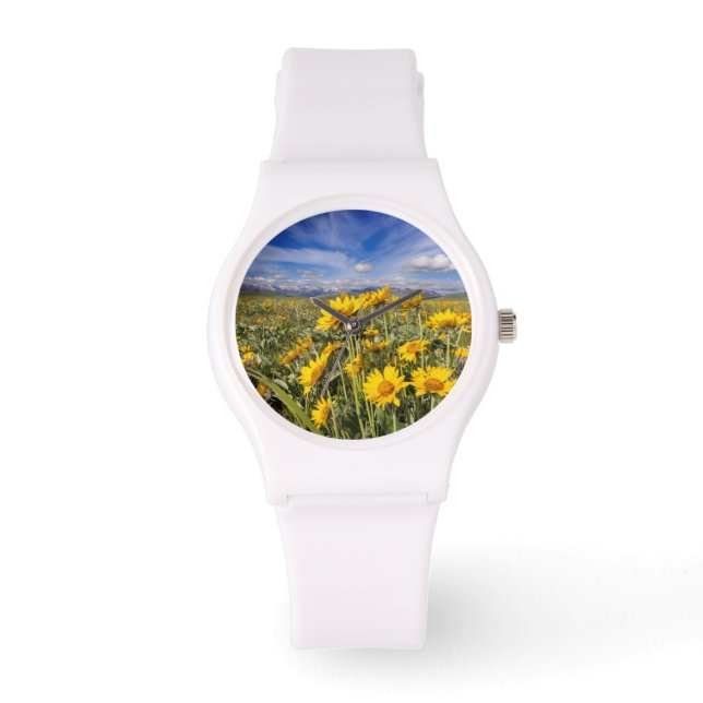 Rocky Mountain Front Horloge (Voorkant)