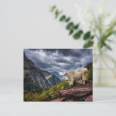 Rocky Mountain Goat Briefkaart (Staand voorkant)