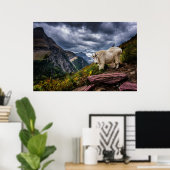 Rocky Mountain Goat Poster (Thuiskantoor)