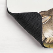 Rocky Mountain Hare (Lepus Townsendii) Muismat (Hoek)