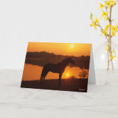 Rocky Mountain Horse in Sunset Kaart (Gele Bloem)