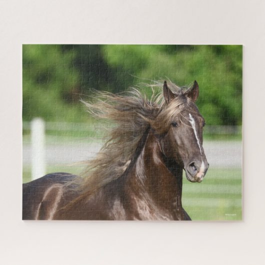 Rocky Mountain Horse Stallion Headshot Legpuzzel (Horizontaal)
