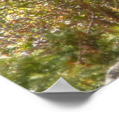 Rocky Mountain Moose Poster (Hoek)