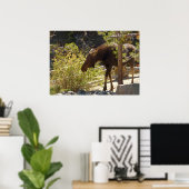 Rocky Mountain Moose Poster (Thuiskantoor)