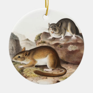 Rocky Mountain Neotoma Mouse (Neotoma Drummondii) Keramisch Ornament