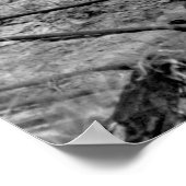 Rocky Mountain Oysters, jaren '30 Poster (Hoek)