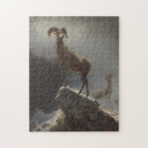 Rocky Mountain Sheep of Big Horn, Ovis, Montana, c Legpuzzel