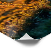 Rocky Mountain Sheep Perfect Poster (Hoek)