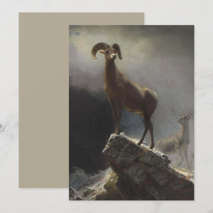 Rocky Mountain Sheep van Albert Bierstadt Feestdagenkaart