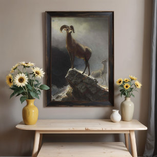 Rocky Mountain Sheep van Albert Bierstadt Poster