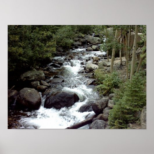 Rocky Mountain Stream-Posters Poster (Voorkant)