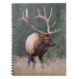 Rocky Mountain-wapiti Notitieboek
