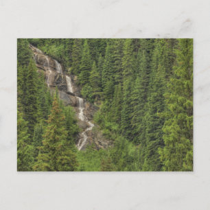 Rocky Mountain Waterfall Briefkaart