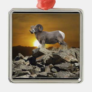 Rocky Mountain Wild Big Horn Schaap & Zonsondergan Metalen Ornament