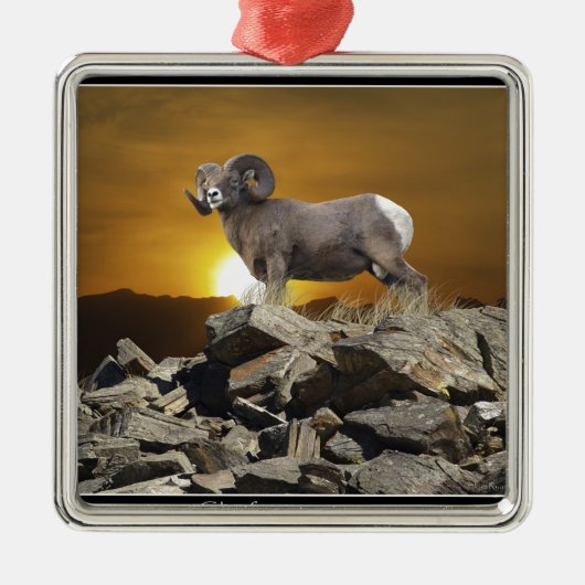 Rocky Mountain Wild Big Horn Schaap & Zonsondergan Metalen Ornament (Voorkant)