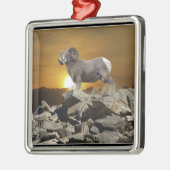 Rocky Mountain Wild Big Horn Schaap & Zonsondergan Metalen Ornament (Links)