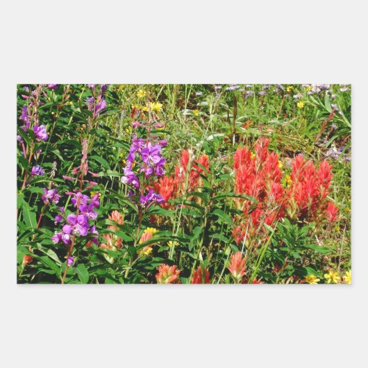Rocky Mountain Wildbloemen Rechthoekige Sticker (Voorkant)