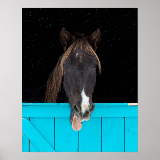 Rocky Mountain Yawn Poster (Voorkant)