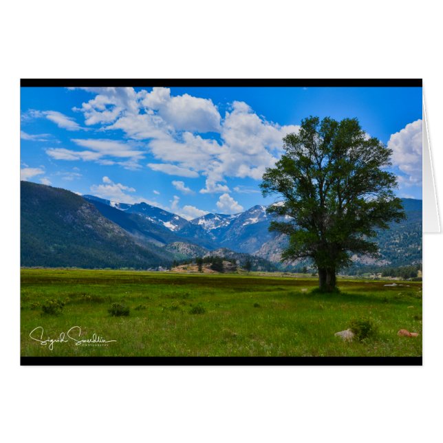 Rocky Mountains (Voorkant Horizontaal)