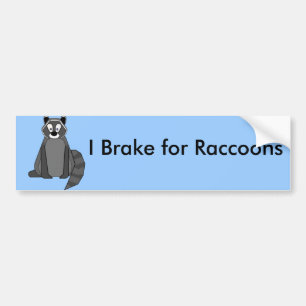 Rocky Raccoon Bumpersticker