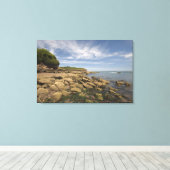 Rocky Seaside met motorboot Canvas Afdruk (Insitu (Houten vloer))