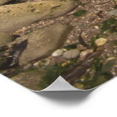 Rocky Seaside met motorboot Poster (Hoek)