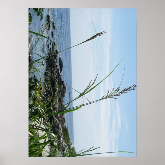 Rocky Shore Poster (Voorkant)