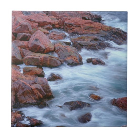 Rocky shoreline met water, Canada Tegeltje (Voorkant)