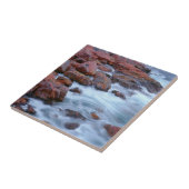 Rocky shoreline met water, Canada Tegeltje (Zijkant)