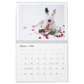 Rocky the Bull Terrier 2024 Calendrier des costume (Feb 2026)