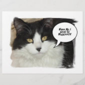 Rod Blagojevich Flyer (Voorkant)