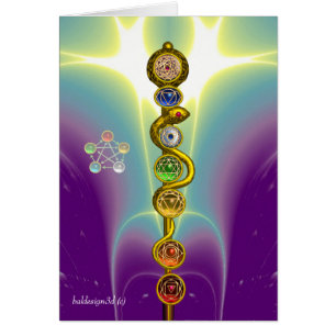 ROD VAN ASCLEPIUS 7 CHAKRAS, YOGA, SPIRITUELE ENER
