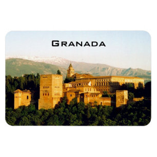 rode aalbaars magneet