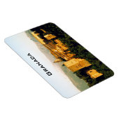 rode aalbaars magneet (Rechterzijde)