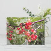 rode aalbes feestdagenkaart (Staand voorkant)