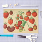 Rode aardbei Ephemera Decoupage Tissuepapier (Craft)