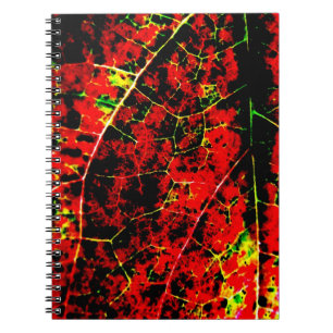 Rode Abstracte Notitieboek