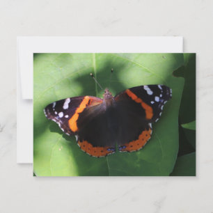 Rode Admiraalvlinder op Groene Bladeren Briefkaart