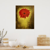 Rode Afrikaanse Daisy Poster (Keuken)