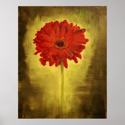 Rode Afrikaanse Daisy Poster (Voorkant)