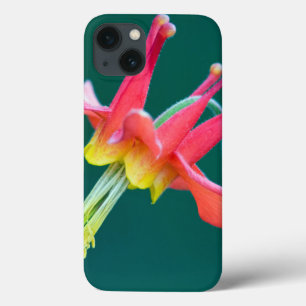 Rode Akelei iPhone 13 Hoesje