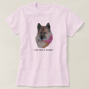 rode akita in roze sjaal , met een zwevende husky  t-shirt