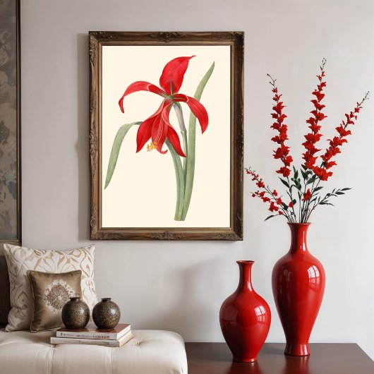 Rode Amaryllis,  botanische illustratie Poster