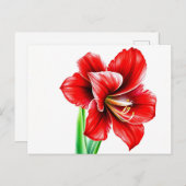 Rode amaryllis in Waterverf Briefkaart (Voorkant / Achterkant)
