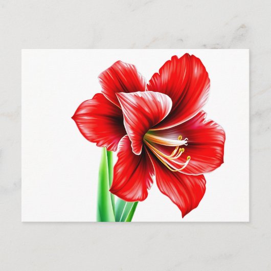 Rode amaryllis in Waterverf Briefkaart (Voorkant)