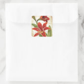 Rode Amaryllis Kerstmis Bloem Botanisch Vierkante Sticker (Tas)