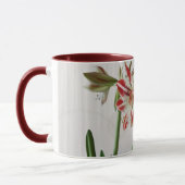 Rode amaryllis mok met aangepaste tekst (Links)