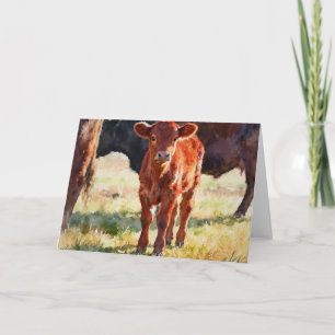 Rode Angus-kalfstudie in aquarel Kaart