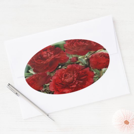 Rode anjer bloemen Stickers (Envelop)