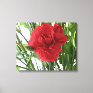 Rode Anjer Canvasprint Canvas Afdruk
